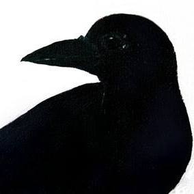 300627995_483854573752063_4928863511605544901_n