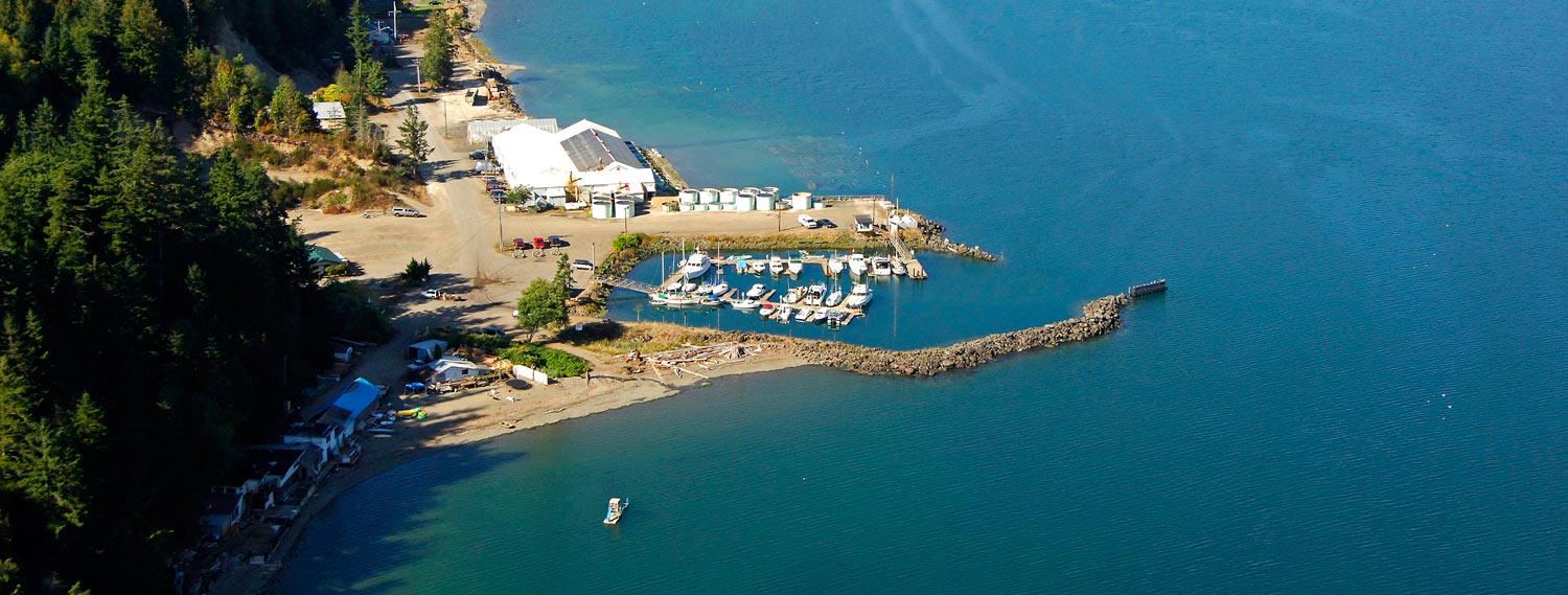 quilcene-marina-2